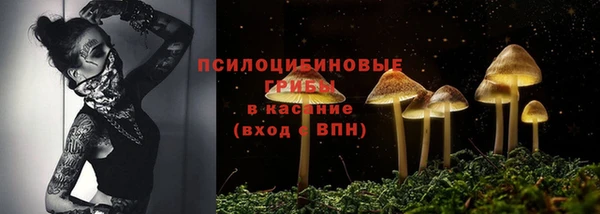ECSTASY Алзамай