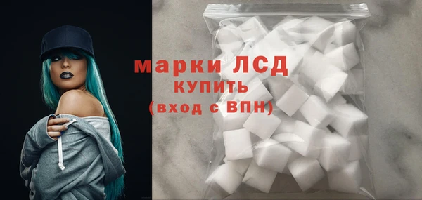 ECSTASY Алзамай