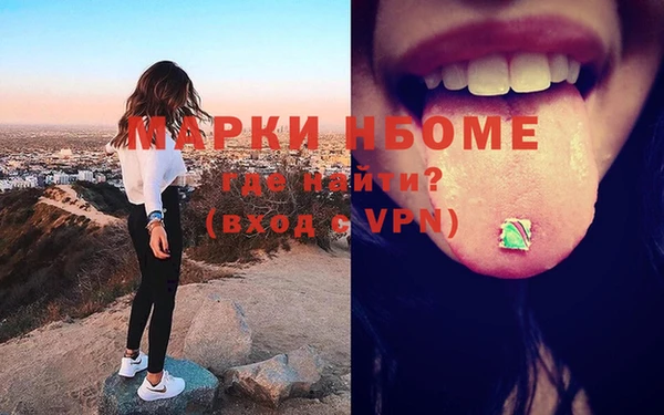 индика Аркадак