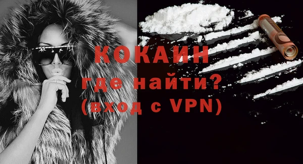 индика Аркадак