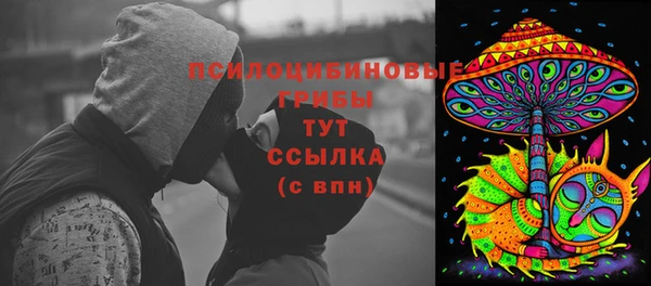 индика Аркадак