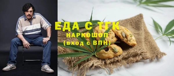 индика Аркадак
