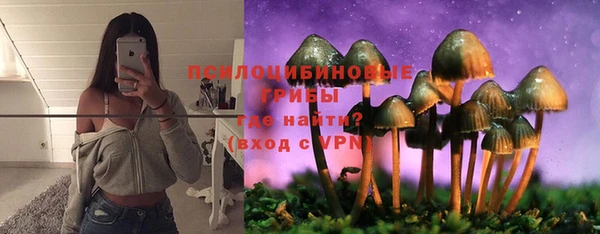 мескалин Алексин